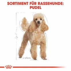 Royal Canin Poodle Adult - Hundefutter -Trixie Verkäufe 2024 royal canin poodle adult hondenvoer 139663 0500 none