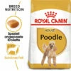 Royal Canin Poodle Adult - Hundefutter -Trixie Verkäufe 2024 royal canin poodle adult hondenvoer 139717 0500 none