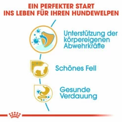 Royal Canin Poodle Puppy - Hundefutter -Trixie Verkäufe 2024 royal canin poodle puppy hondenvoer 139744 0500 none