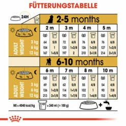 Royal Canin Poodle Puppy - Hundefutter -Trixie Verkäufe 2024 royal canin poodle puppy hondenvoer 139762 0500 none