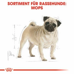 Royal Canin Pug Adult - Hundefutter 12 Royal Canin Pug Adult - Hundefutter -Trixie Verkäufe 2024 royal canin pug adult hondenvoer 139798 0500 none