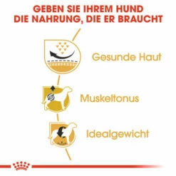Royal Canin Pug Adult - Hundefutter 10 Royal Canin Pug Adult - Hundefutter -Trixie Verkäufe 2024 royal canin pug adult hondenvoer 139816 0500 none