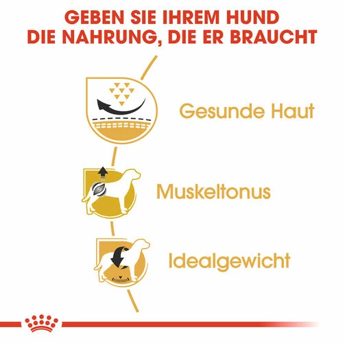 Royal Canin Pug Adult - Hundefutter 4 Royal Canin Pug Adult - Hundefutter – Bild 2