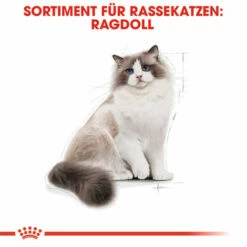 Royal Canin Ragdoll Adult - Katzenfutter -Trixie Verkäufe 2024 royal canin ragdoll adult kattenvoer 125087 0500 none