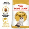 Royal Canin Ragdoll Adult - Katzenfutter -Trixie Verkäufe 2024 royal canin ragdoll adult kattenvoer 125138 0500 none
