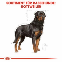 Royal Canin Rottweiler Adult - Hundefutter 12 Royal Canin Rottweiler Adult - Hundefutter -Trixie Verkäufe 2024 royal canin rottweiler adult hondenvoer 139936 0500 none