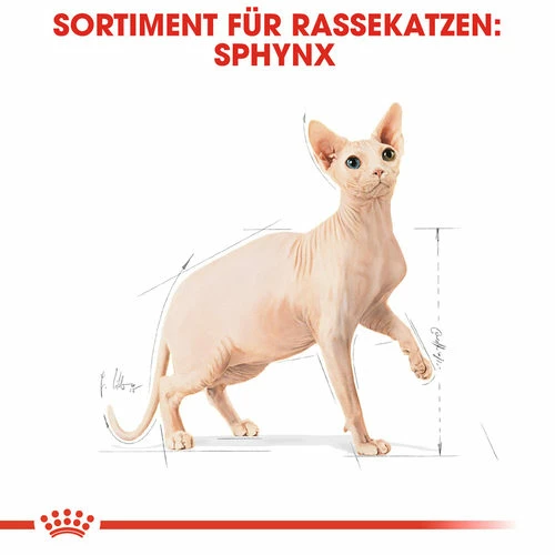 Royal Canin Sphynx Adult - Katzenfutter 8 Royal Canin Sphynx Adult - Katzenfutter – Bild 6