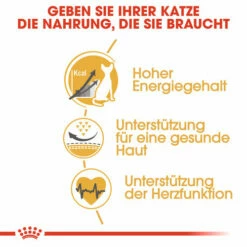 Royal Canin Sphynx Adult - Katzenfutter 14 Royal Canin Sphynx Adult - Katzenfutter -Trixie Verkäufe 2024 royal canin sphynx adult kattenvoer 125456 0500 none