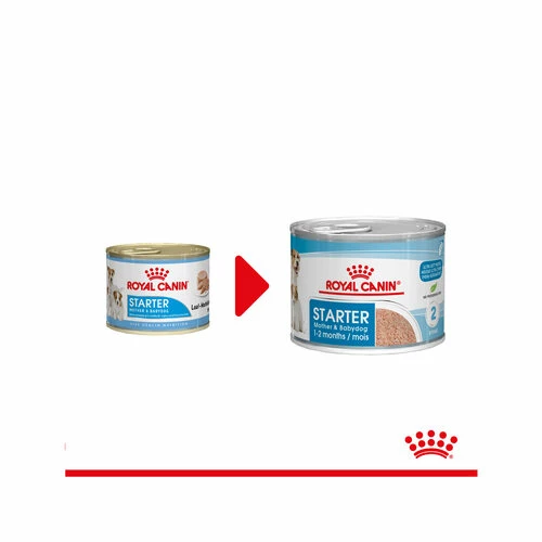Royal Canin Starter Mousse Mother & Babydog - Hundefutter 3 Royal Canin Starter Mousse Mother & Babydog - Hundefutter