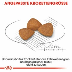 Royal Canin X-Small Ageing 12+ - Hundefutter -Trixie Verkäufe 2024 royal canin x small ageing 12 hondenvoer 128977 0500 none