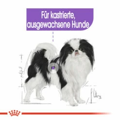 Royal Canin X-Small Sterilised - Hundefutter 12 Royal Canin X-Small Sterilised - Hundefutter -Trixie Verkäufe 2024 royal canin x small sterilised hondenvoer 143393 0500 none