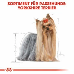 Royal Canin Yorkshire Terrier Adult - Hundefutter -Trixie Verkäufe 2024 royal canin yorkshire terrier adult hondenvoer 140714 0500 none