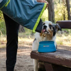 Ruffwear Bivy Bowl -Trixie Verkäufe 2024 ruffwear bivy bowl 204695 0500 none