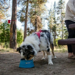 Ruffwear Bivy Bowl -Trixie Verkäufe 2024 ruffwear bivy bowl 204698 0500 none