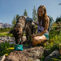 Ruffwear Flat Out Dog Collar - Alpenglow Burst 9 Ruffwear Flat Out Dog Collar - Alpenglow Burst -Trixie Verkäufe 2024 ruffwear flat out dog collar alpenglow burst 204812 0500 none