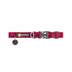 Ruffwear Flat Out Dog Collar - Alpenglow Burst 8 Ruffwear Flat Out Dog Collar - Alpenglow Burst -Trixie Verkäufe 2024 ruffwear flat out dog collar alpenglow burst 204824 0500 none