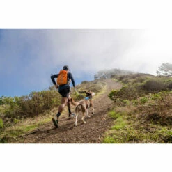 Ruffwear Hi & Light Harness -Trixie Verkäufe 2024 ruffwear hi light harness 196016 0500 none