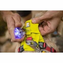 Ruffwear Hi & Light Harness -Trixie Verkäufe 2024 ruffwear hi light harness 196031 0500 none