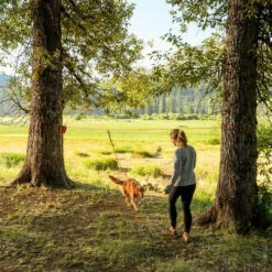 Ruffwear Knot-a-Hitch 8 Ruffwear Knot-a-Hitch -Trixie Verkäufe 2024 ruffwear knot a hitch 124643 0500 none