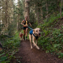 Ruffwear Roamer Leash - Blue Atoll -Trixie Verkäufe 2024 ruffwear roamer leash blue atoll 204797 0500 none