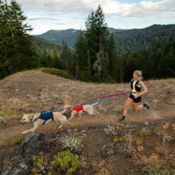 Ruffwear Roamer Leash - Blue Atoll -Trixie Verkäufe 2024 ruffwear roamer leash blue atoll 204800 0500 none