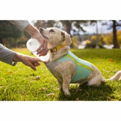 Ruffwear Swamp Cooler Zip 17 Ruffwear Swamp Cooler Zip -Trixie Verkäufe 2024 ruffwear swamp cooler zip vest 196304 0500 none