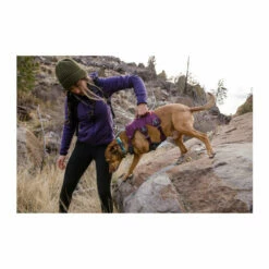 Ruffwear Webmaster Harness -Trixie Verkäufe 2024 ruffwear webmaster harness 217109 0500 none