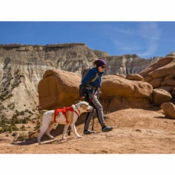 Ruffwear Webmaster Harness -Trixie Verkäufe 2024 ruffwear webmaster harness 217118 0500 none