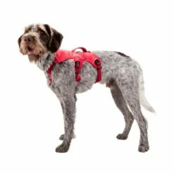 Ruffwear Webmaster Harness -Trixie Verkäufe 2024 ruffwear webmaster harness 88447 0500 none