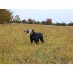 RukkaPets Protect Overall -Trixie Verkäufe 2024 rukkapets protect overall zwart 216401 0500 none