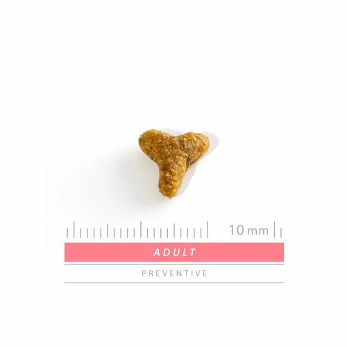 SANIMED Adult Cat 5 SANIMED Adult Cat – Bild 3