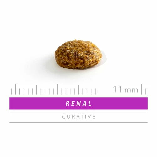 Sanimed Renal, Liver And Stones Cat 4 Sanimed Renal, Liver And Stones Cat – Bild 2