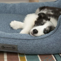 Scruffs Manhattan Box Bett 13 Scruffs Manhattan Box Bett -Trixie Verkäufe 2024 scruffs manhattan box bed 209510 0500 none