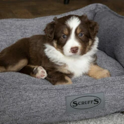 Scruffs Manhattan Box Bett 10 Scruffs Manhattan Box Bett -Trixie Verkäufe 2024 scruffs manhattan box bed 209513 0500 none