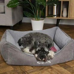 Scruffs Thermal Box Bed -Trixie Verkäufe 2024 scruffs thermal box bed 190825 0500 none