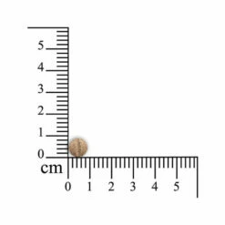 Monoderma Dry - Kleine Haustiere -Trixie Verkäufe 2024 sensipharm monoderma dry kleine huisdieren 174916 0500 none