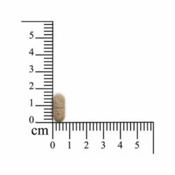 Smooth Locomotion Hund 7 Smooth Locomotion Hund -Trixie Verkäufe 2024 sensipharm smooth locomotion hond 174793 0500 none