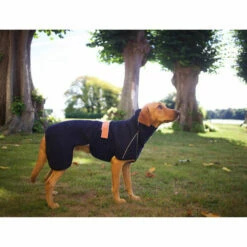 Siccaro WetDog SupremePro 11 Siccaro WetDog SupremePro -Trixie Verkäufe 2024 siccaro wetdog supremepro 20 216995 0500 none