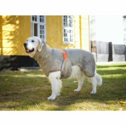 Siccaro WetDog SupremePro 10 Siccaro WetDog SupremePro -Trixie Verkäufe 2024 siccaro wetdog supremepro 20 216997 0500 none