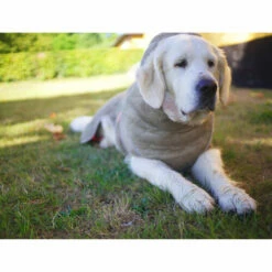 Siccaro WetDog SupremePro 12 Siccaro WetDog SupremePro -Trixie Verkäufe 2024 siccaro wetdog supremepro 20 216998 0500 none