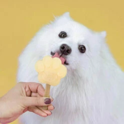 Smoofl Hundeeis Starter Kit 19 Smoofl Hundeeis Starter Kit -Trixie Verkäufe 2024 smoofl dog ice starter kit 195155 0500 none