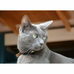 Spotted! Pro Dog & Cat -Trixie Verkäufe 2024 spotted pro dog cat 166915 0500 none