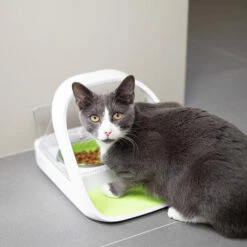 Surefeed Connect Mikrochip-Futterautomat 12 Surefeed Connect Mikrochip-Futterautomat -Trixie Verkäufe 2024 surefeed microchip voerbak connect 221217 0500 none