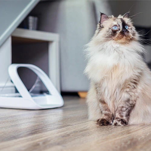 Surefeed Connect Mikrochip-Futterautomat 7 Surefeed Connect Mikrochip-Futterautomat – Bild 5