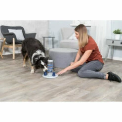 Trixie Dog Activity Gambling Tower -Trixie Verkäufe 2024 trixie dog activity gambling tower 179852 0500 none