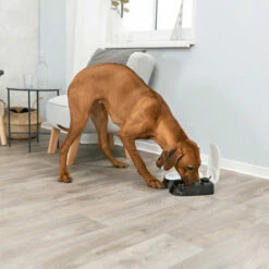 Trixie Doppel-Futterautomat TX2 7 Trixie Doppel-Futterautomat TX2 -Trixie Verkäufe 2024 trixie dubbele voederautomaat tx2 170914 0500 none