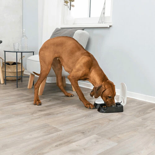 Trixie Doppel-Futterautomat TX2 5 Trixie Doppel-Futterautomat TX2 – Bild 3