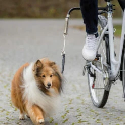 Trixie Biker-Set -Trixie Verkäufe 2024 trixie fiets set 178264 0500 none