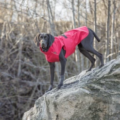 Trixie Regenjacke Vimy -Trixie Verkäufe 2024 trixie regenjas vimy 204854 0500 none