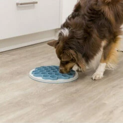 Trixie Slow Feeding Futterplatte Hive -Trixie Verkäufe 2024 trixie slow feeding voederbak bijenkorf 205454 0500 none